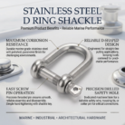 Stainless Steel D Ring Shackle – Corrosion Resistant Screw Pin Shackle with Safety Hole